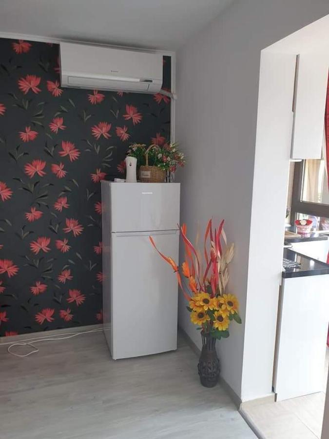Apartament Alina Saturn Luaran gambar